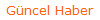 G�ncel Haber